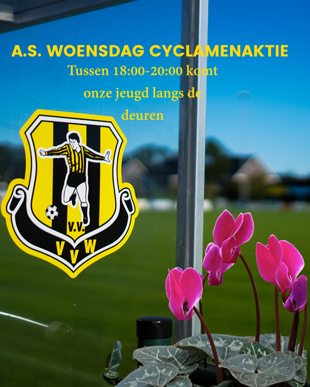 A.s. woensdag Cyclamenactie